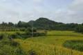 龙潭河镇曾家坪溪沟边，有一块清朝《皇恩砥柱》碑