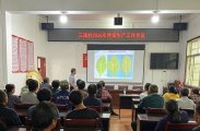 高峰乡三溪村：抢抓烘烤关键期，聚力提质促增收