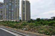 双安社区江山壹号项目地拆除了围栏，吸引不少人前来开荒种菜