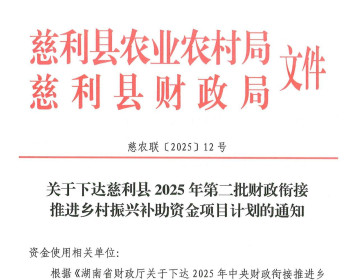慈利县2025年第二批乡村振兴补助资金3225万元及项目明细表