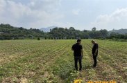象市镇：实地核验摸清底数，特色棉业赋能振兴