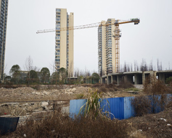 碧桂园江山赋旁边工地杂草丛生，不是说已经有人接盘了吗？