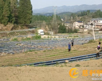 三官寺土家族乡苗岭村：抢抓农时备春耕，烤烟产业促增收