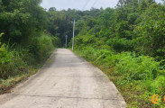 金慈街道团溪村组织开展道路清淤砍青志愿服务活动