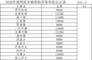 慈利县2026春防村级防疫员劳务补助汇总发放表