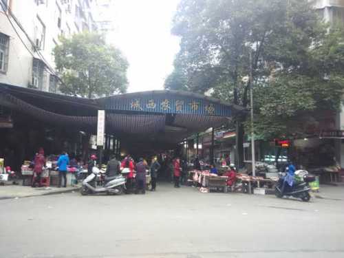 慈利政府纵容无证企业夺货抢摊无据收费百万元