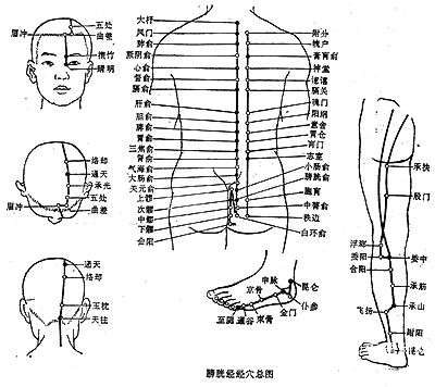 痔点.jpg