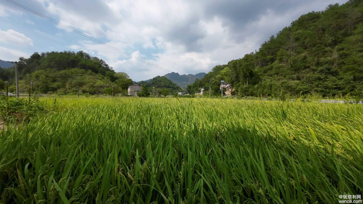 DJI_0853.JPG