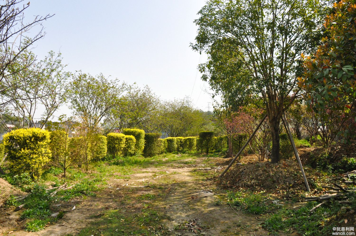 DSC_0065.JPG