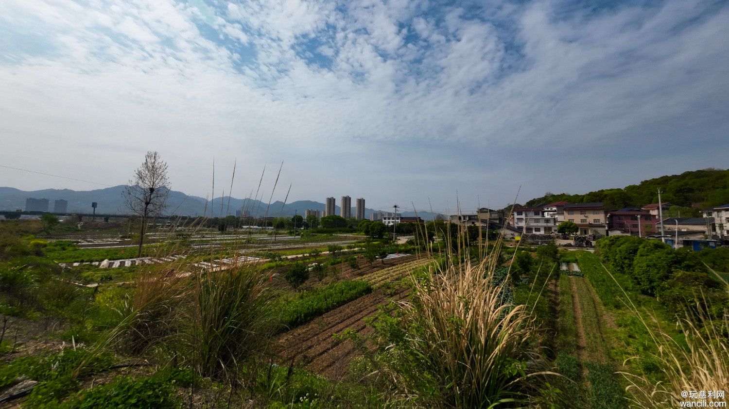 DJI_0612.JPG