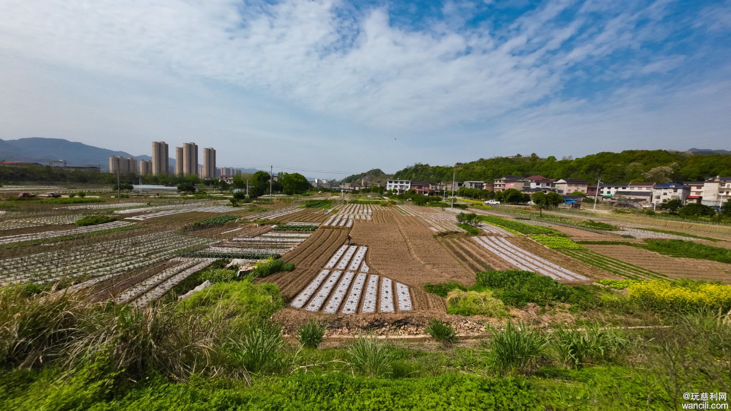 DJI_0608.JPG