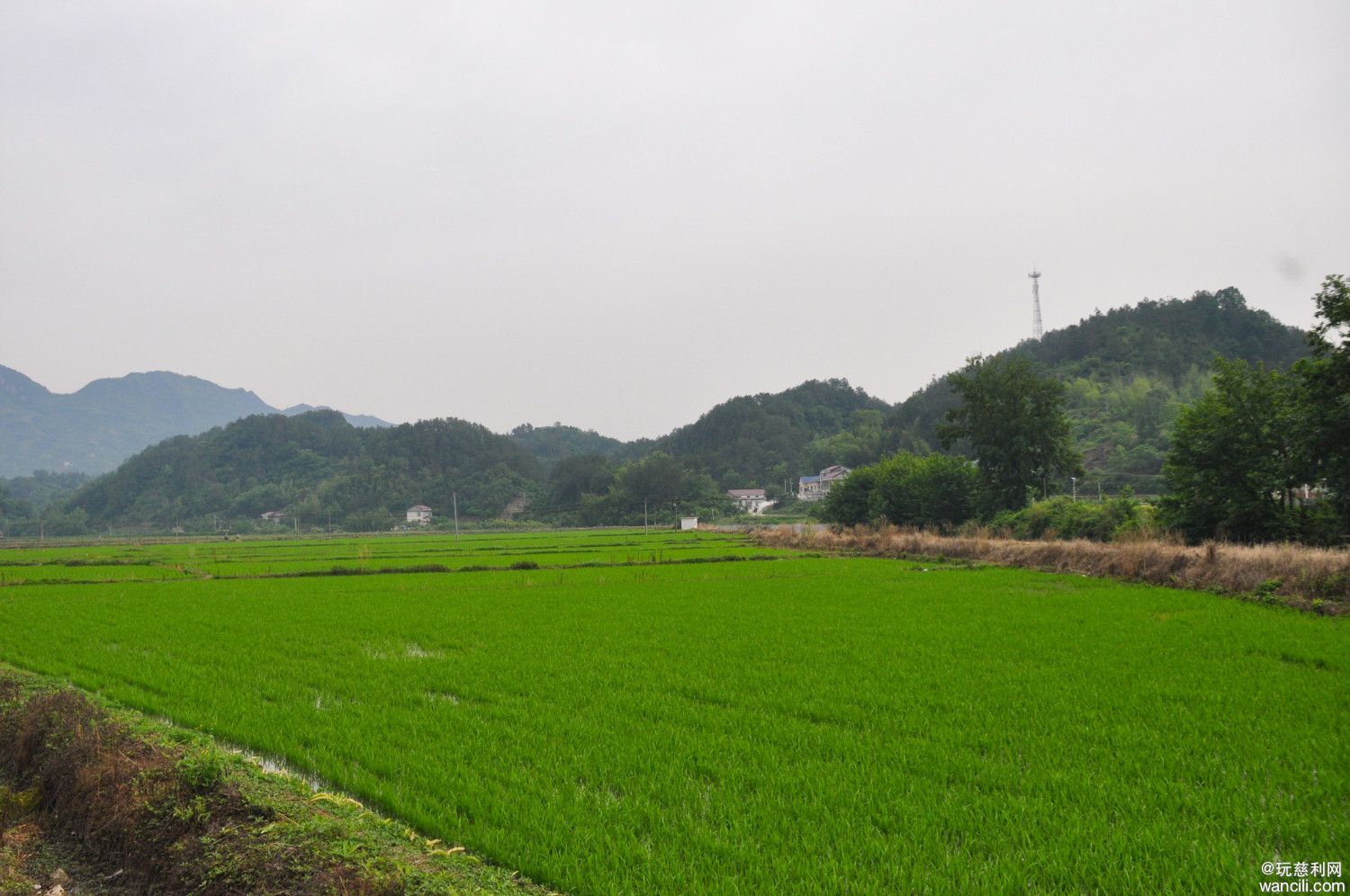 DSC_0016.JPG