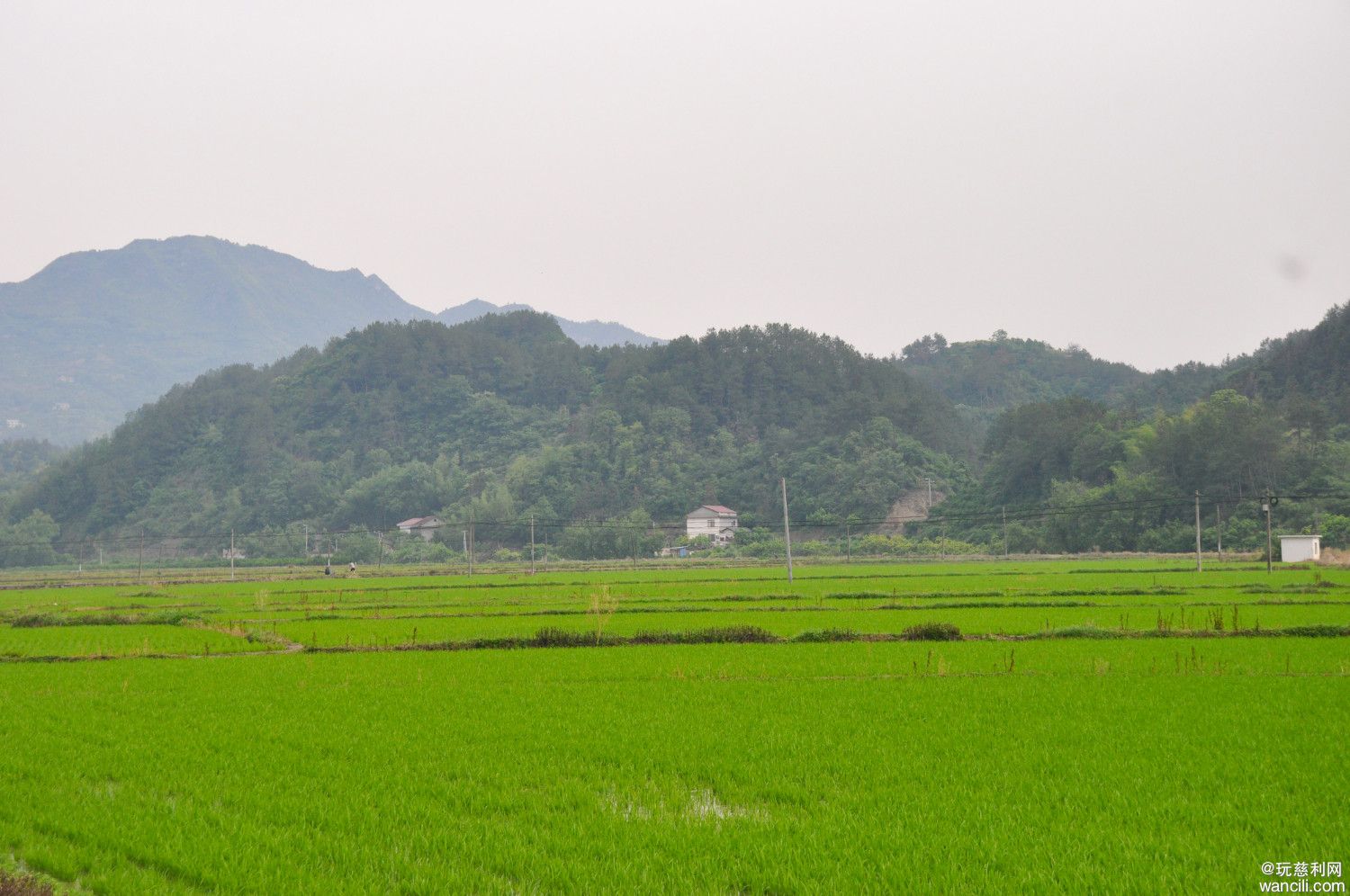 DSC_0017.JPG