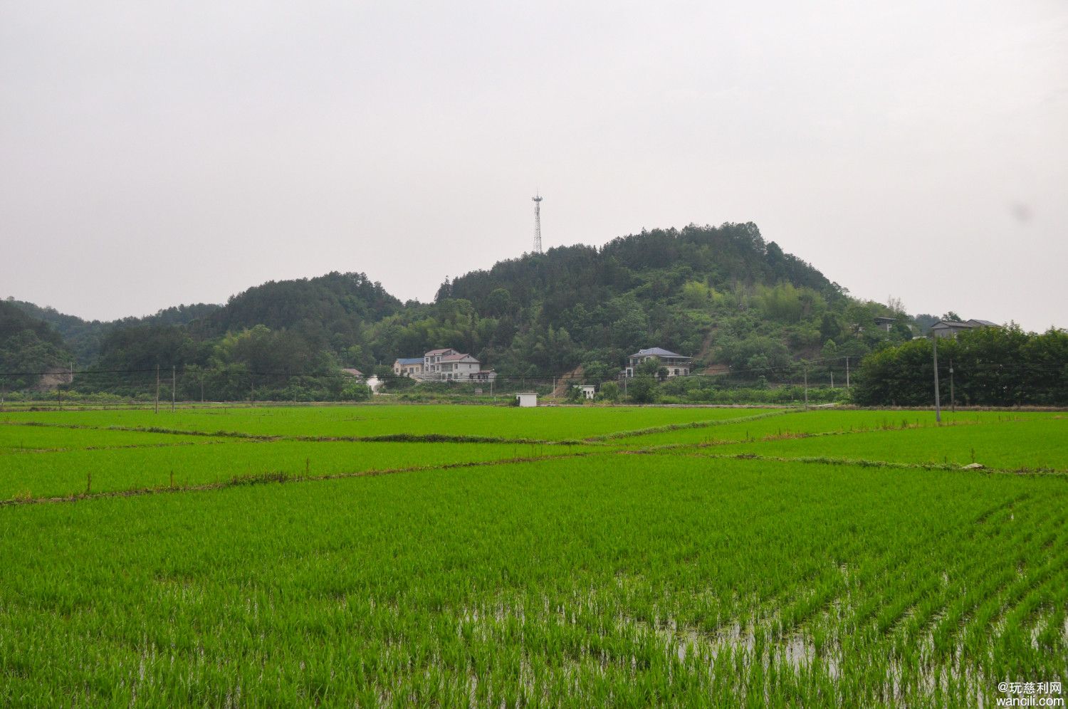 DSC_0019.JPG