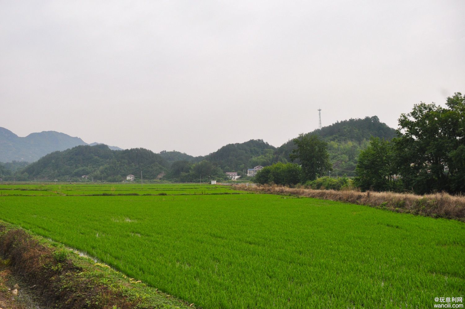 DSC_0018.JPG