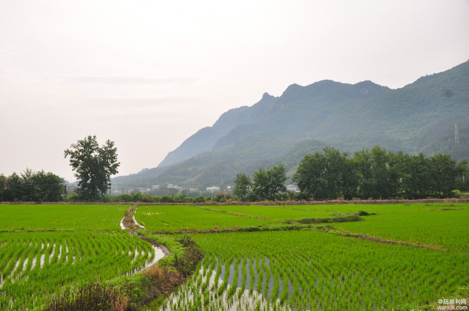 DSC_0020.JPG