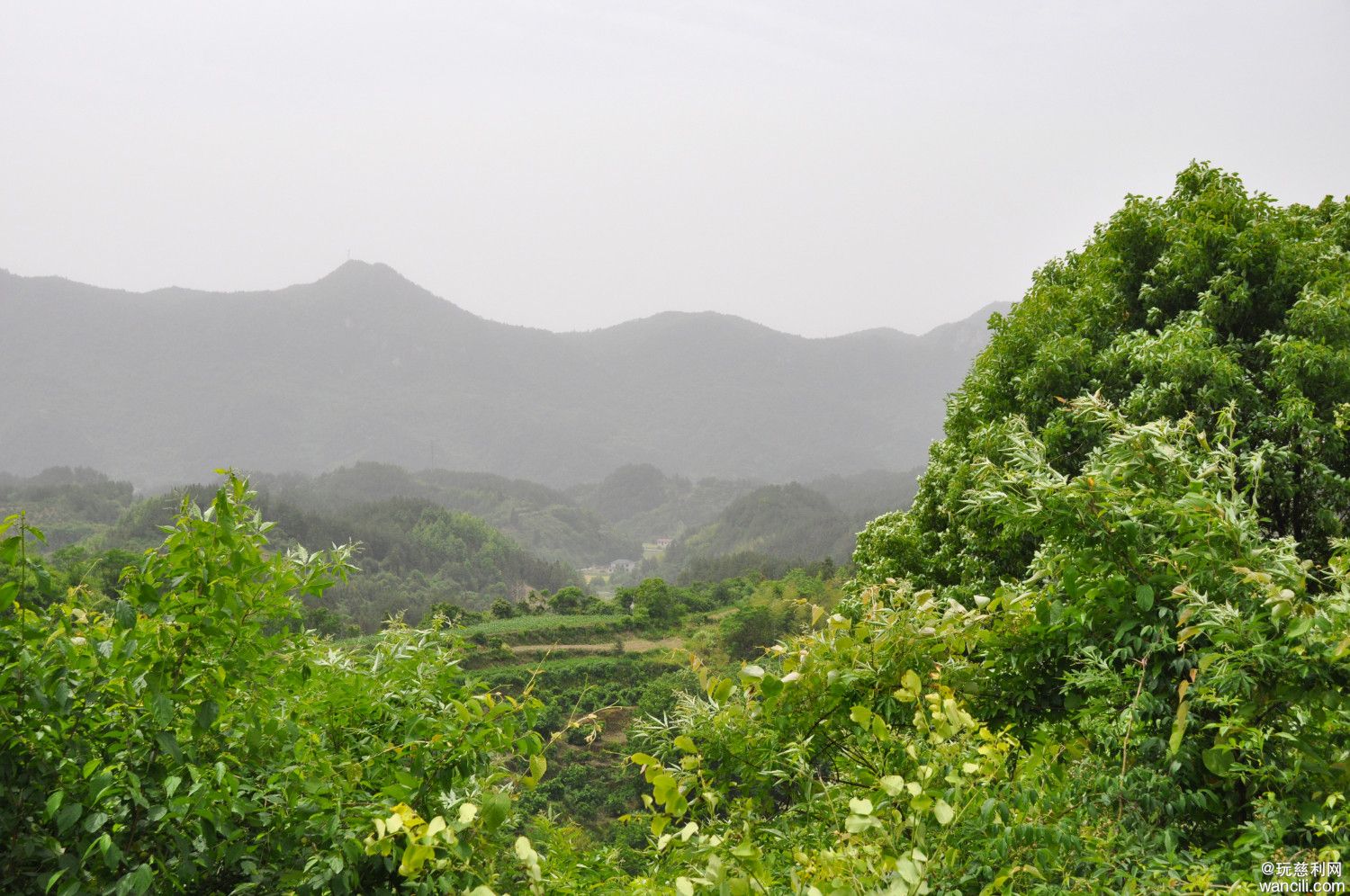 DSC_0043.JPG