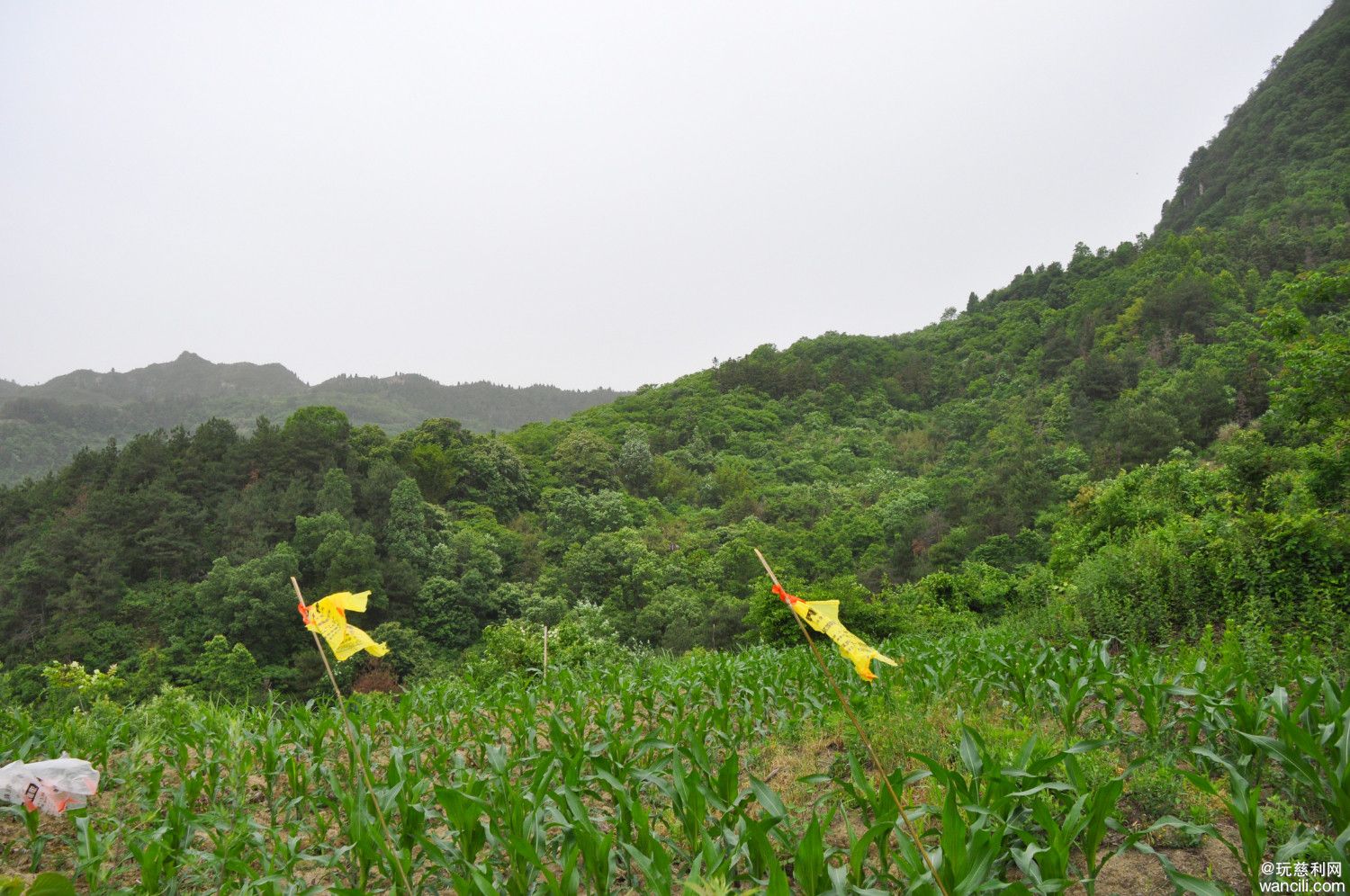 DSC_0039.JPG