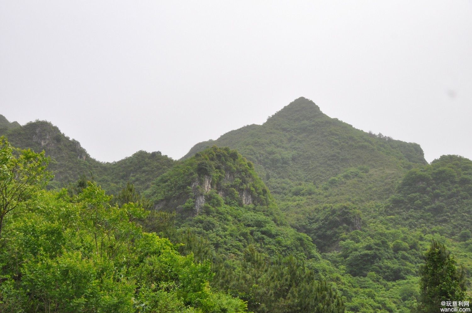 DSC_0045.JPG