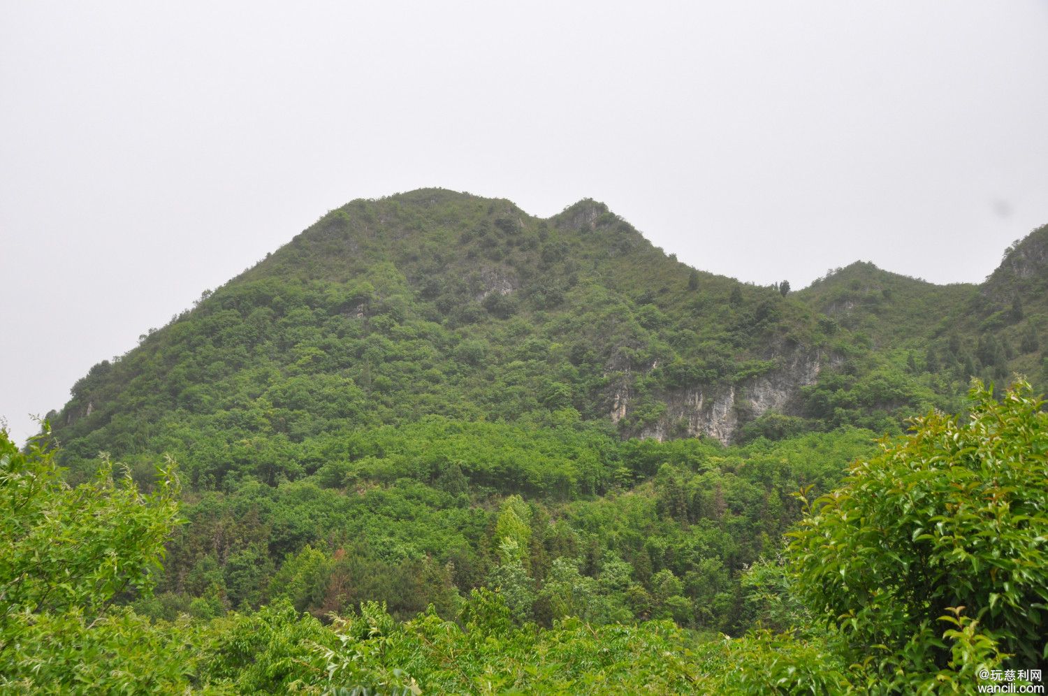 DSC_0044.JPG