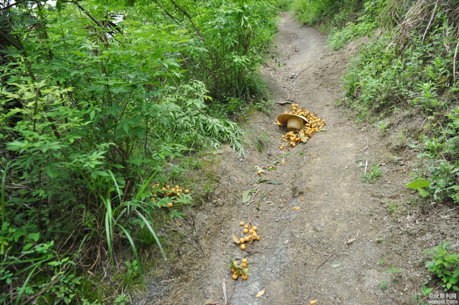 DSC_0051.JPG