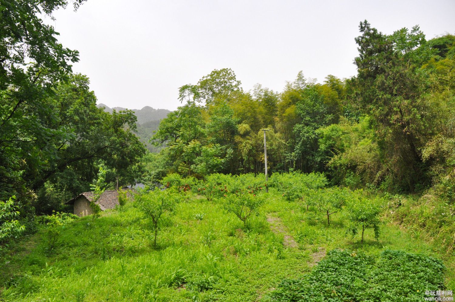 DSC_0062.JPG