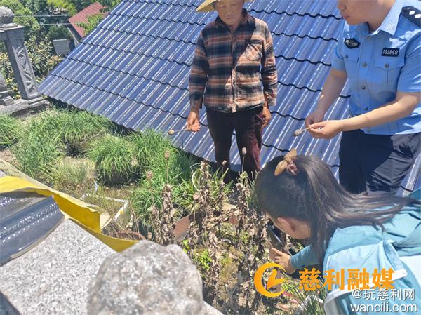 龙潭河镇江星村一农户种植21株毒品原植物罂粟被依法铲除