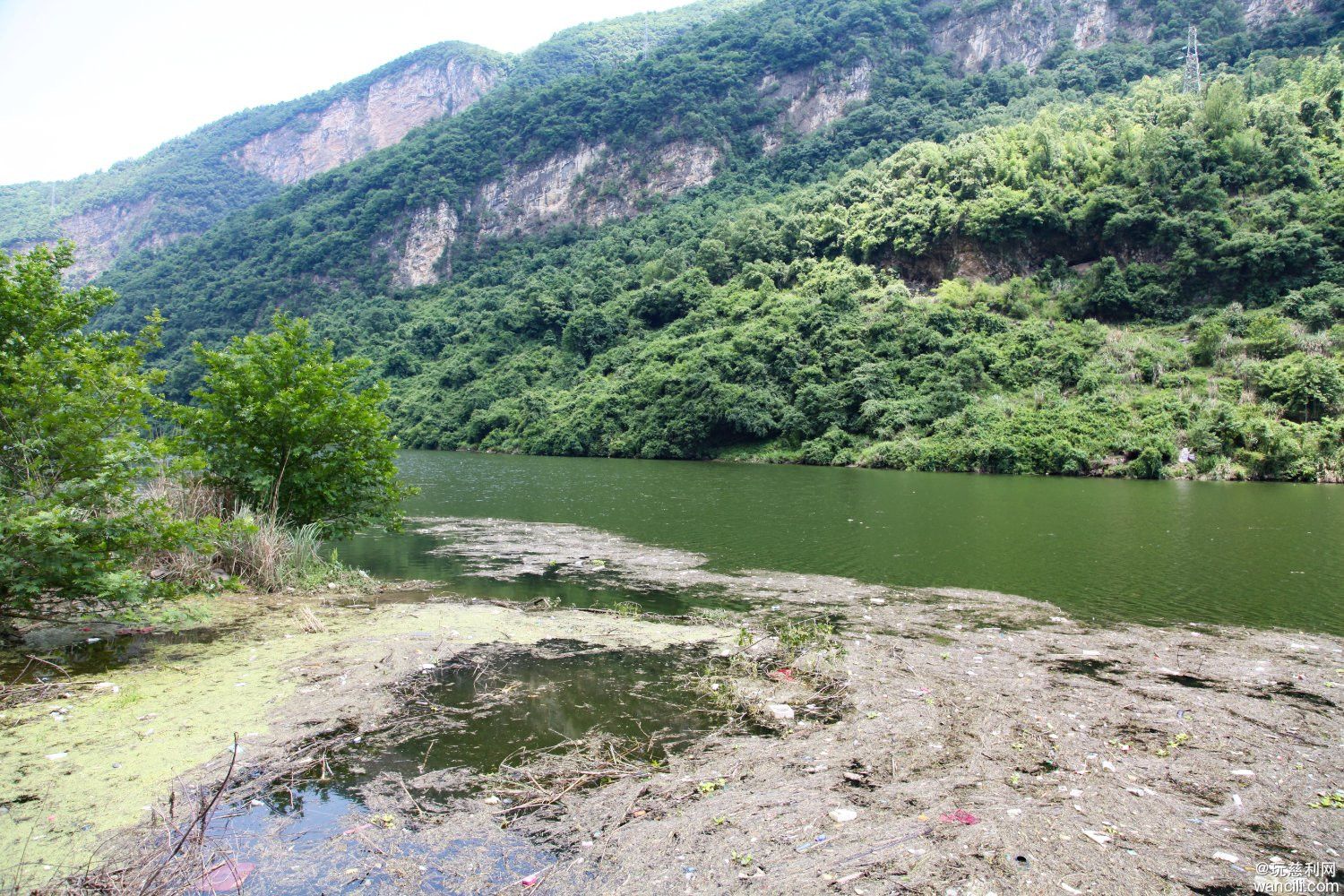 IMG_9487.JPG