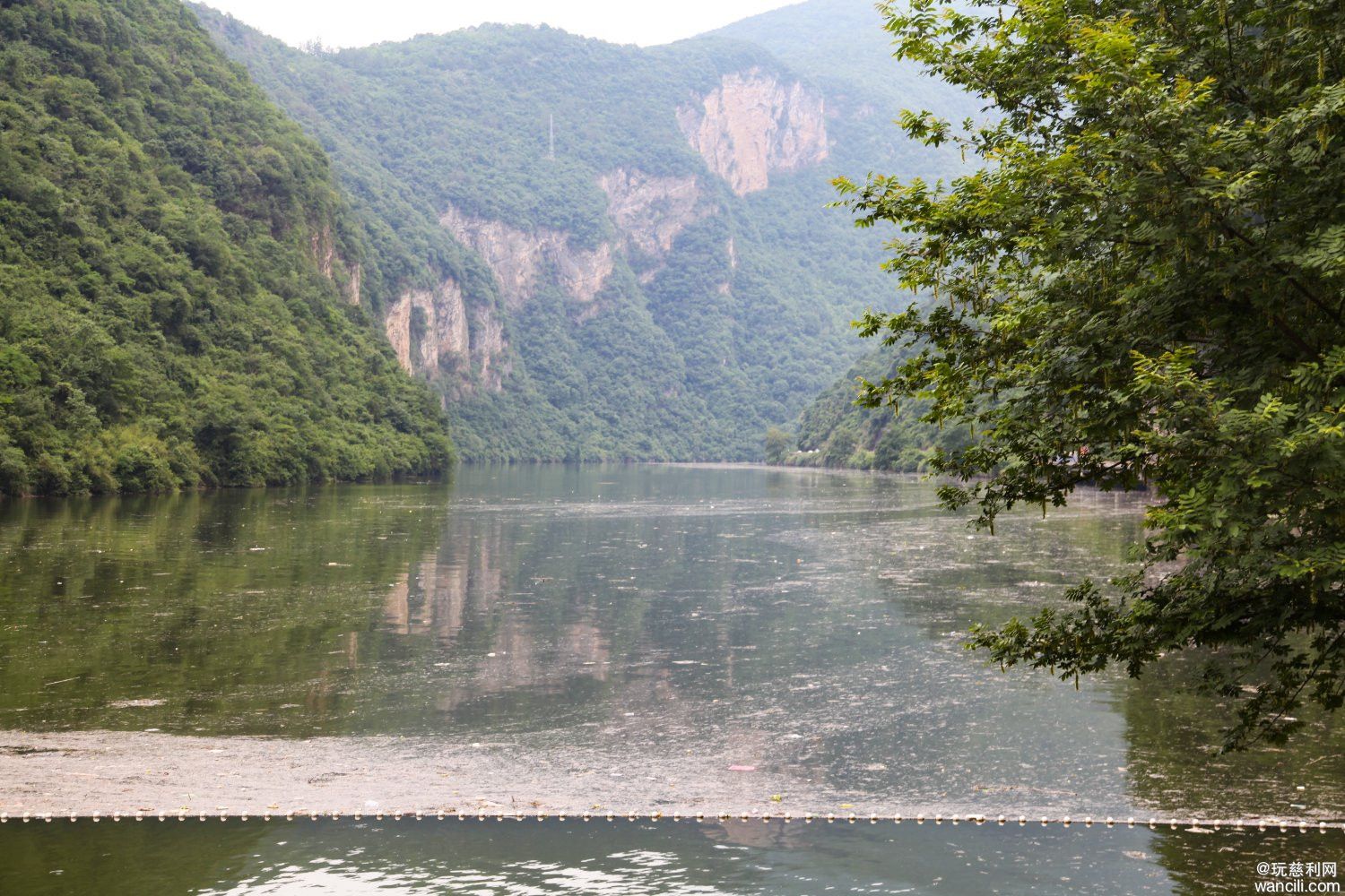 IMG_9561.JPG
