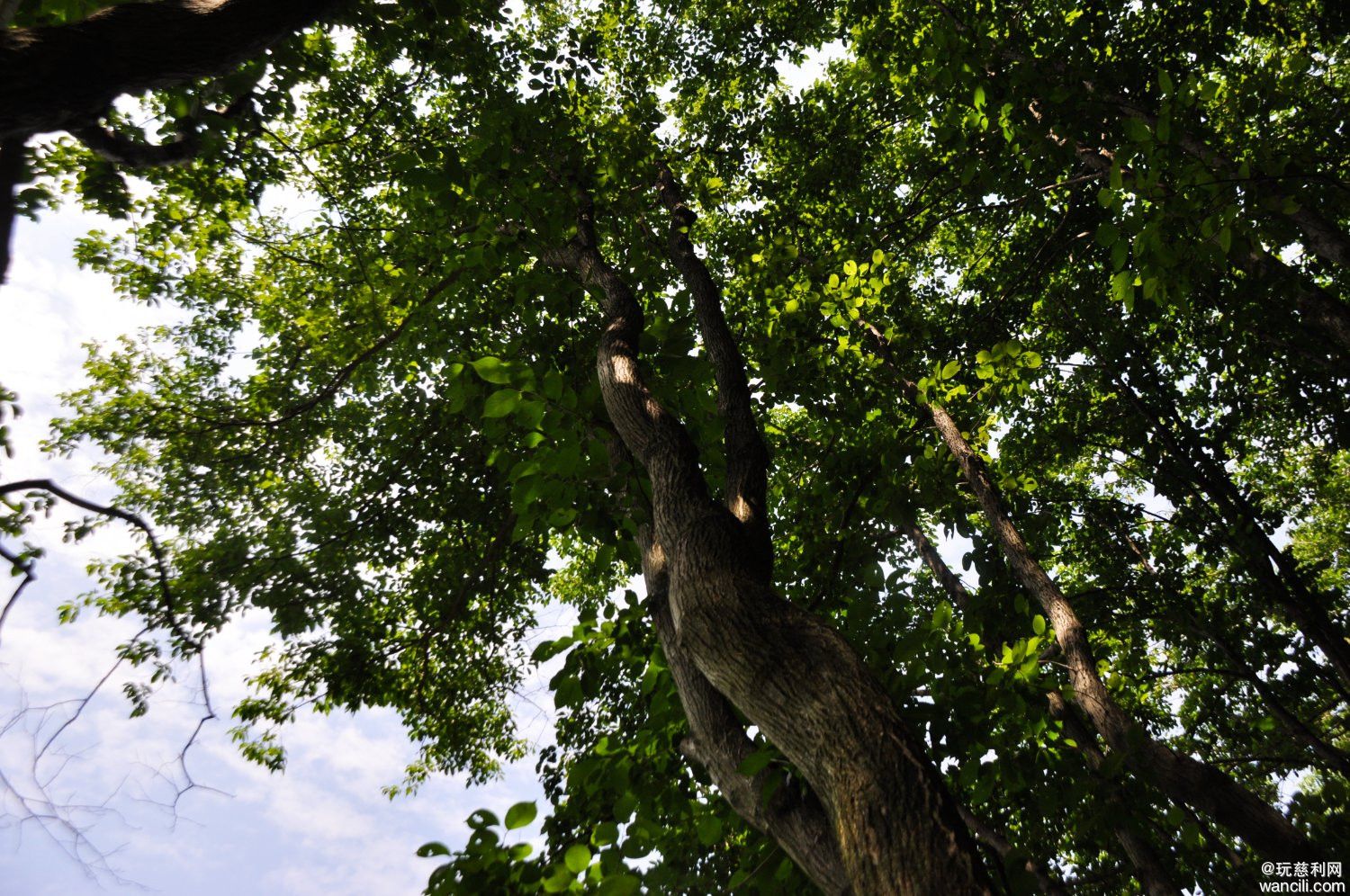 DSC_0094.JPG