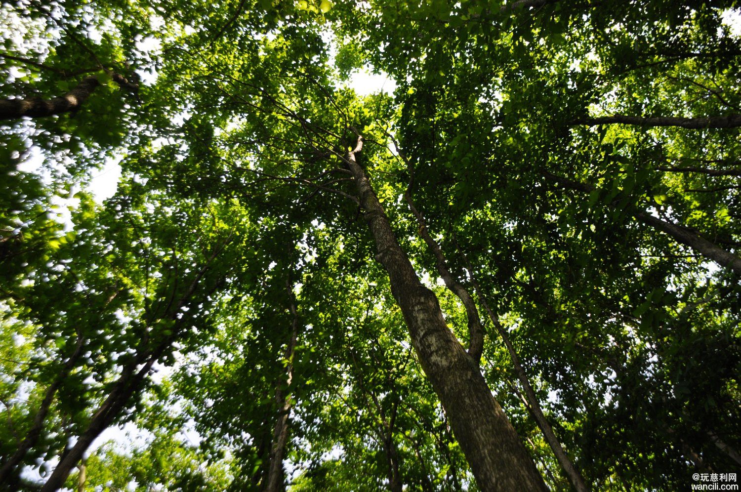 DSC_0096.JPG