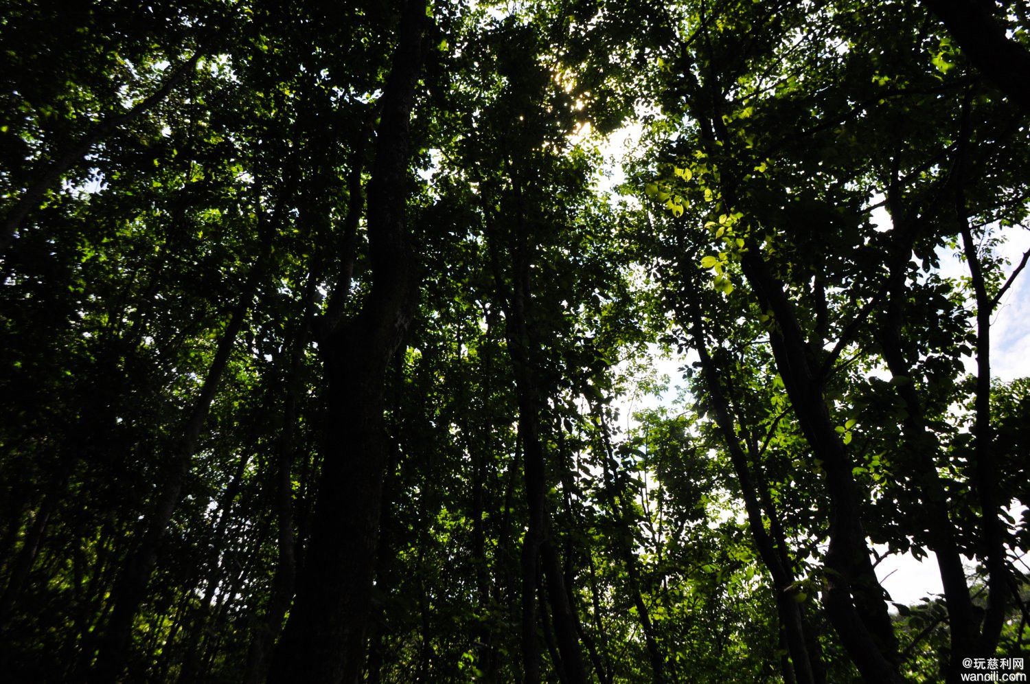 DSC_0097.JPG