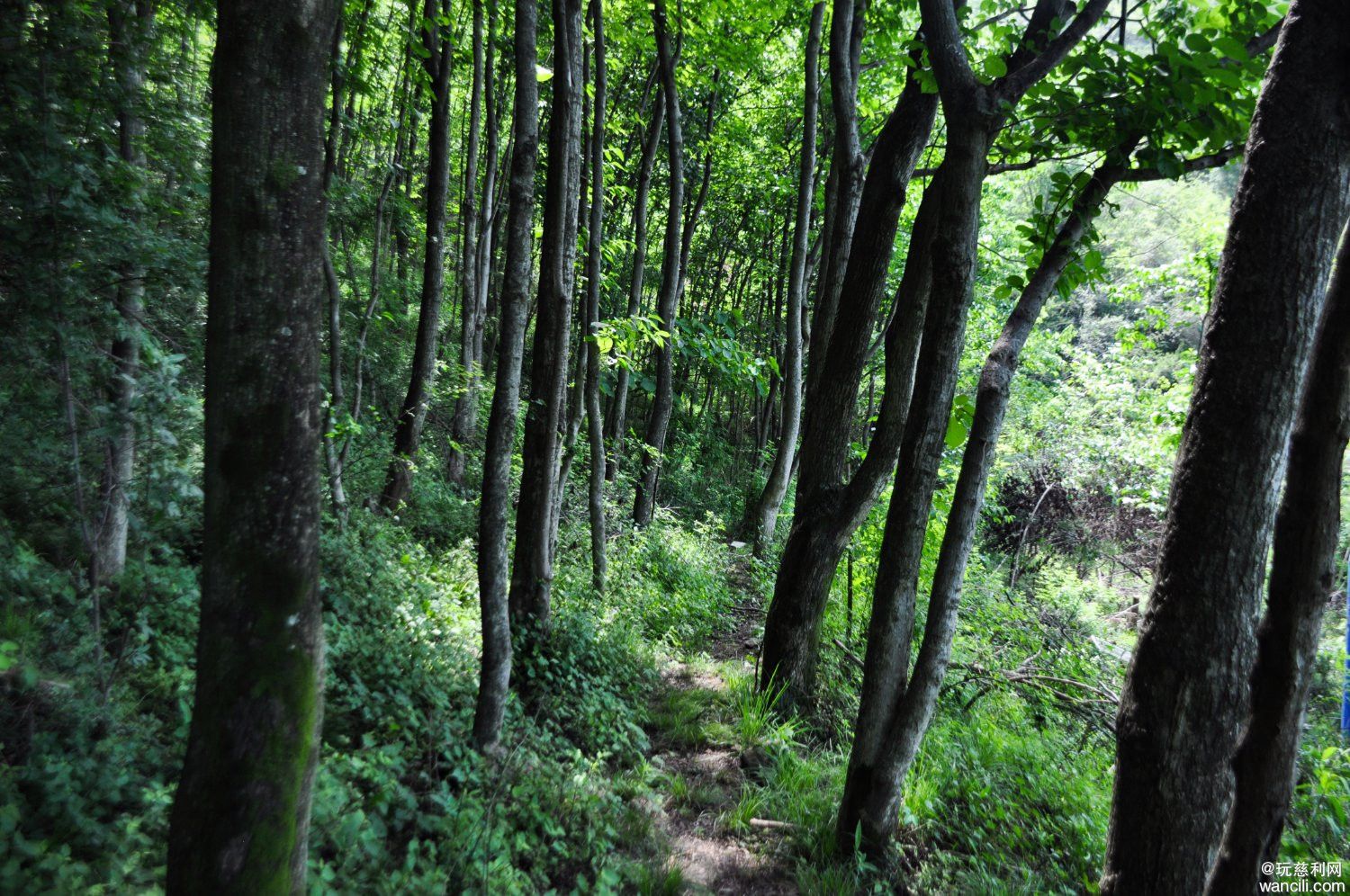 DSC_0099.JPG