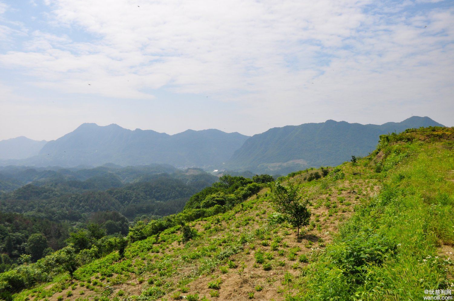 DSC_0035.JPG