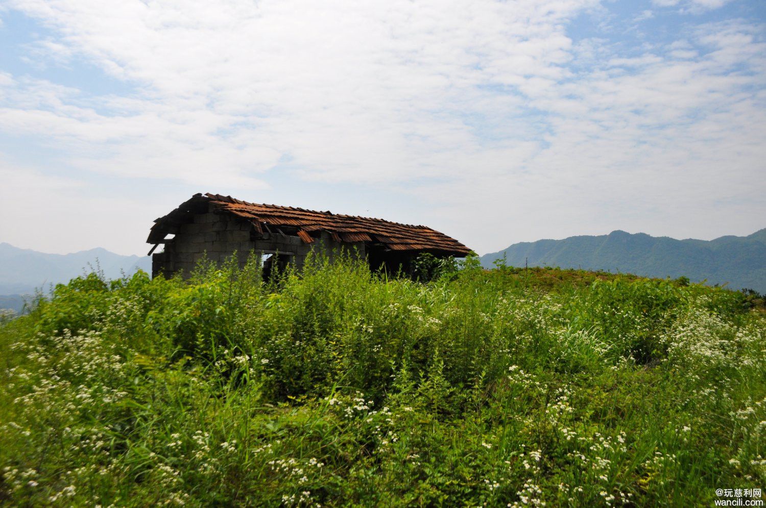 DSC_0038.JPG