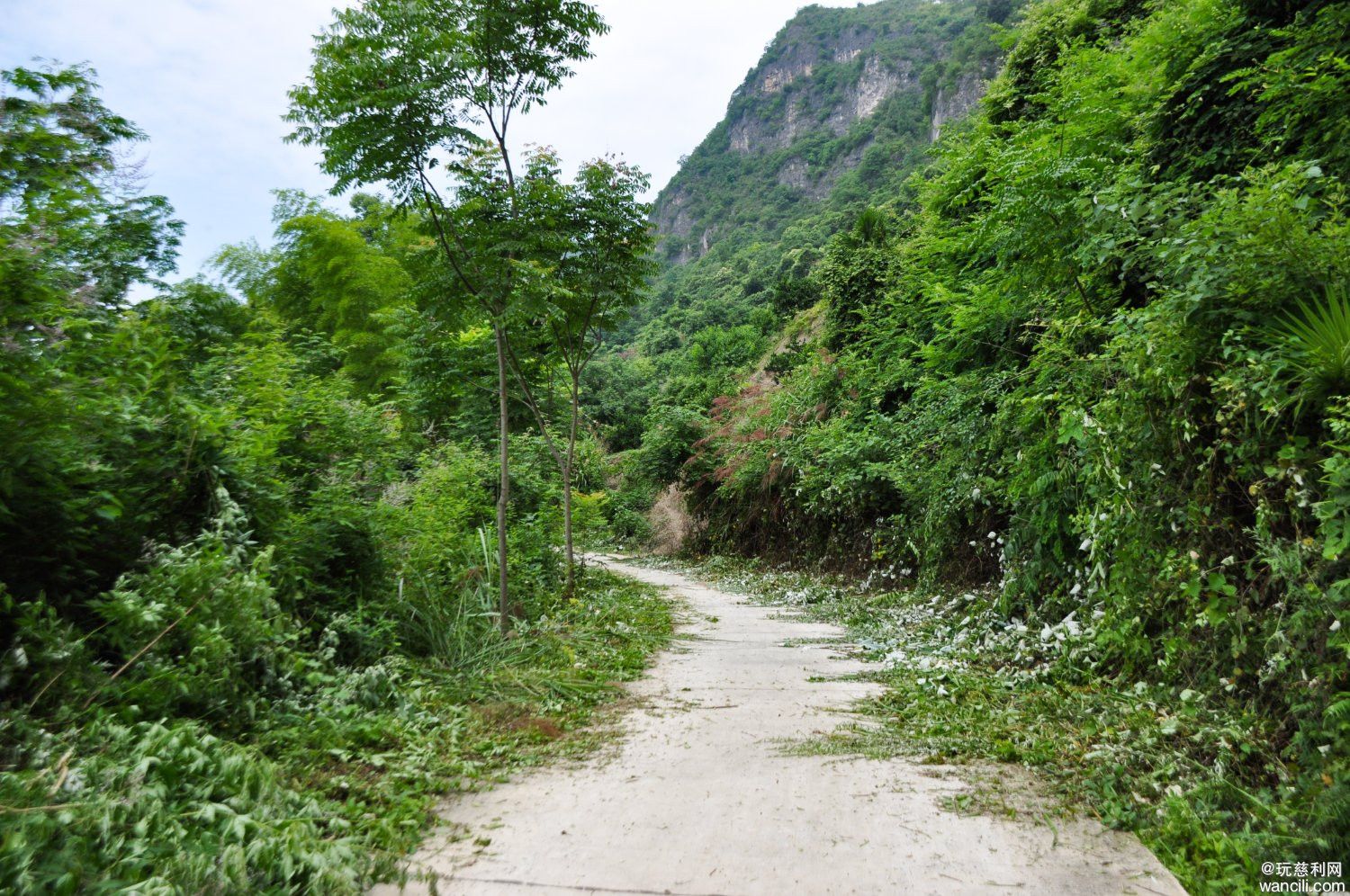 DSC_0012.JPG