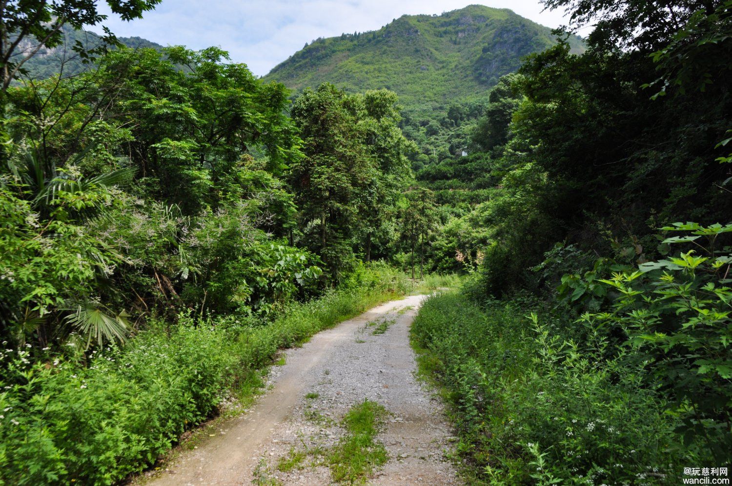 DSC_0017.JPG