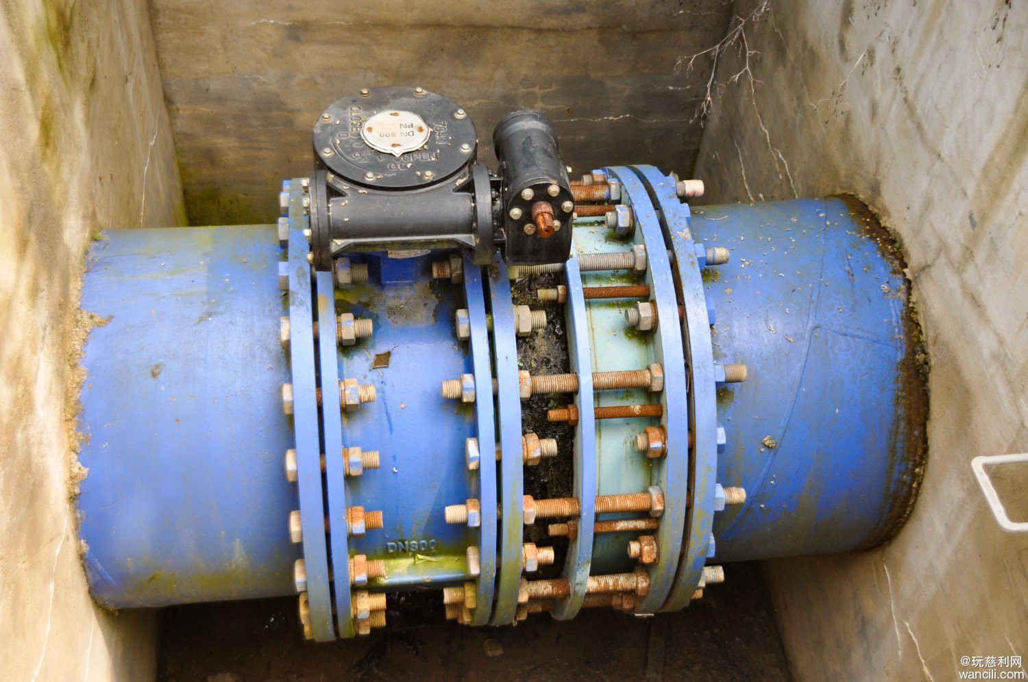 DSC_0085.JPG