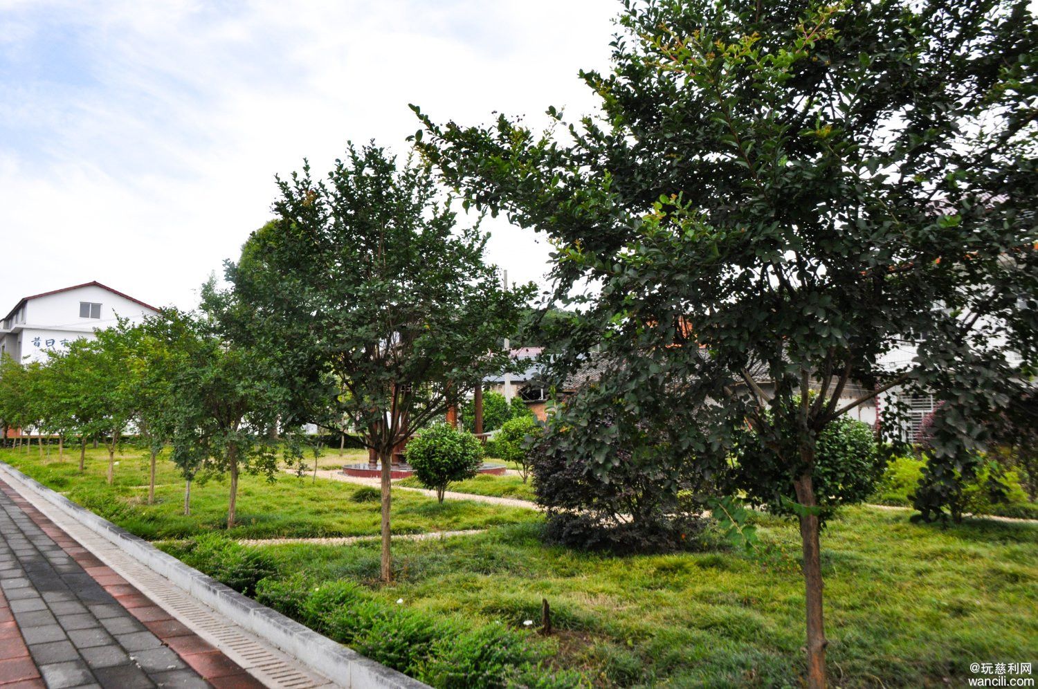 DSC_0100.JPG