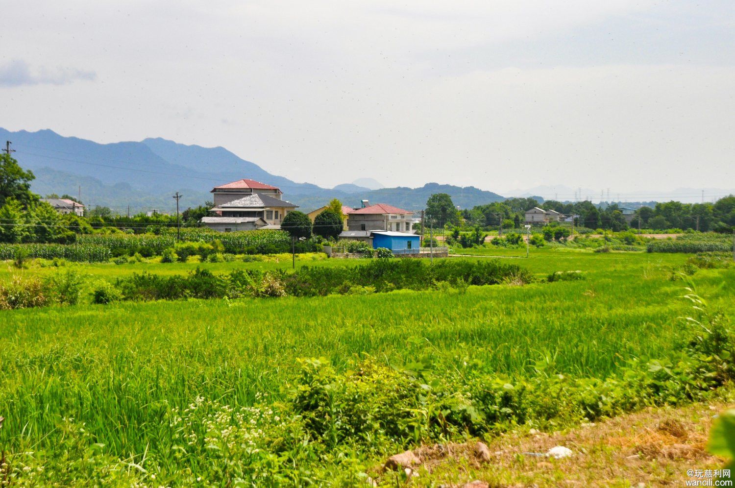 DSC_0184.JPG