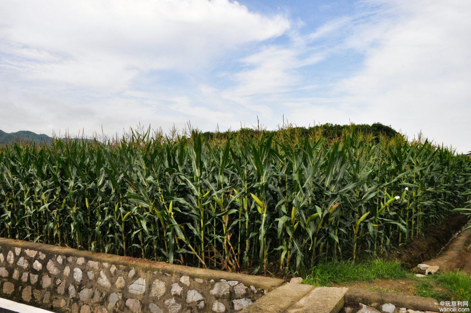 DSC_0049.JPG