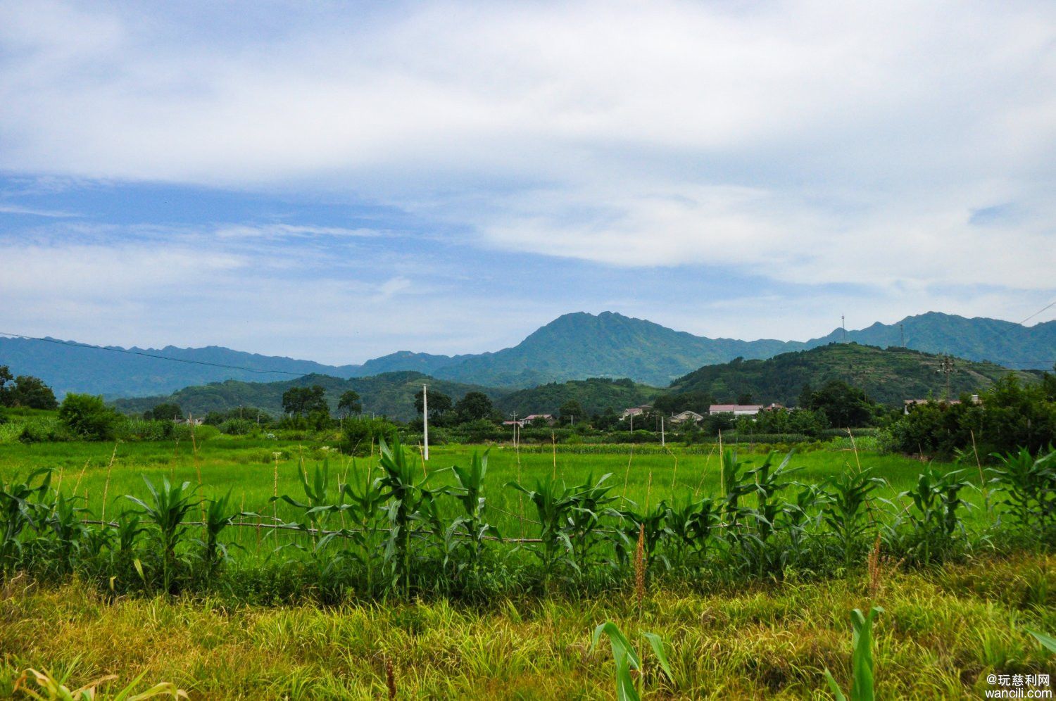 DSC_0144.JPG