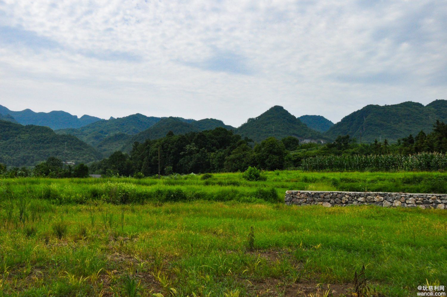 DSC_0145.JPG