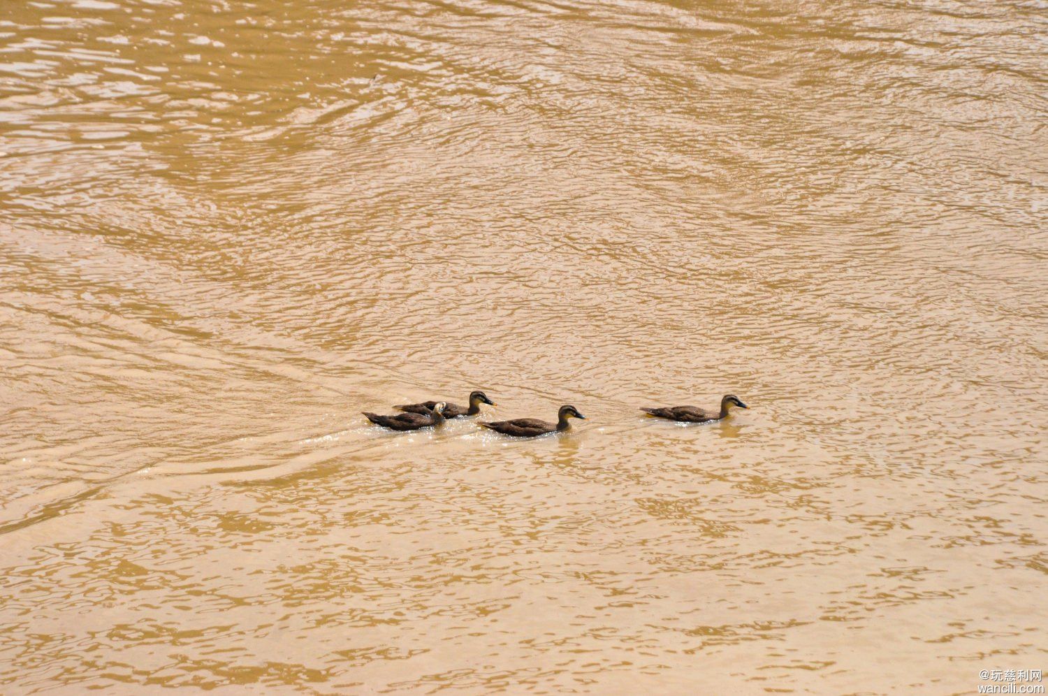 DSC_0033.JPG