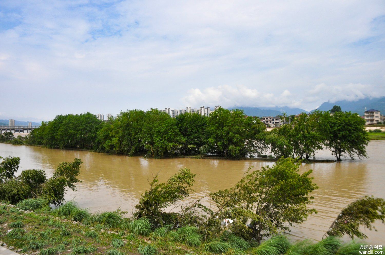 DSC_0003.JPG