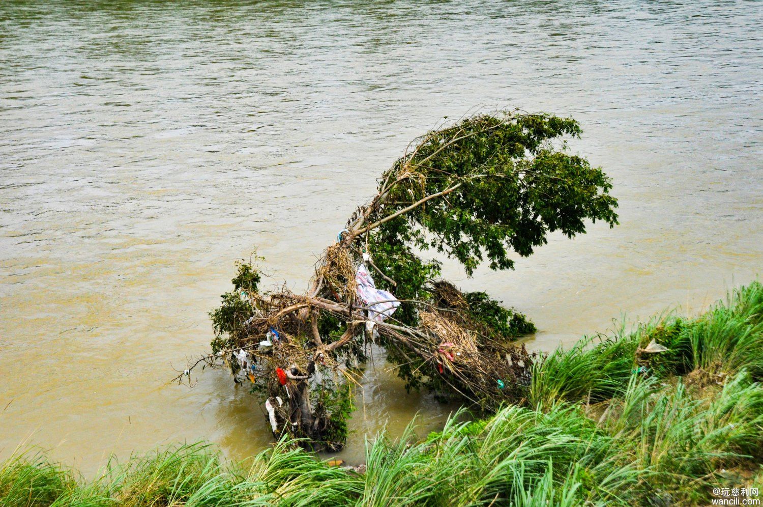 DSC_0020.JPG
