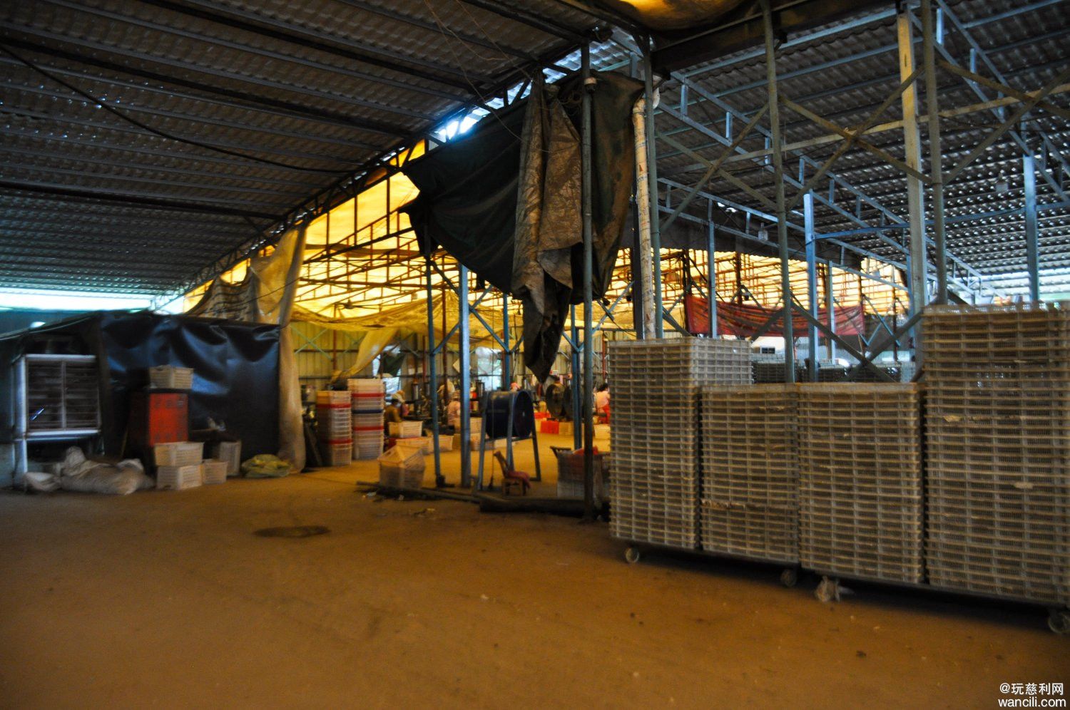DSC_0017.JPG
