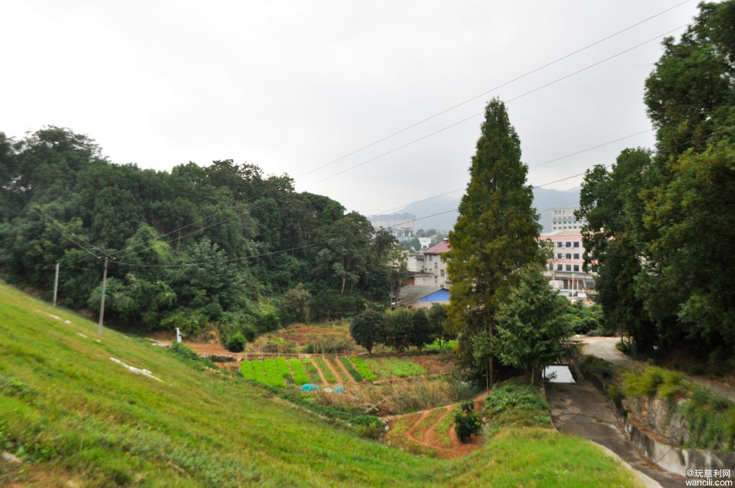 DSC_0020.JPG
