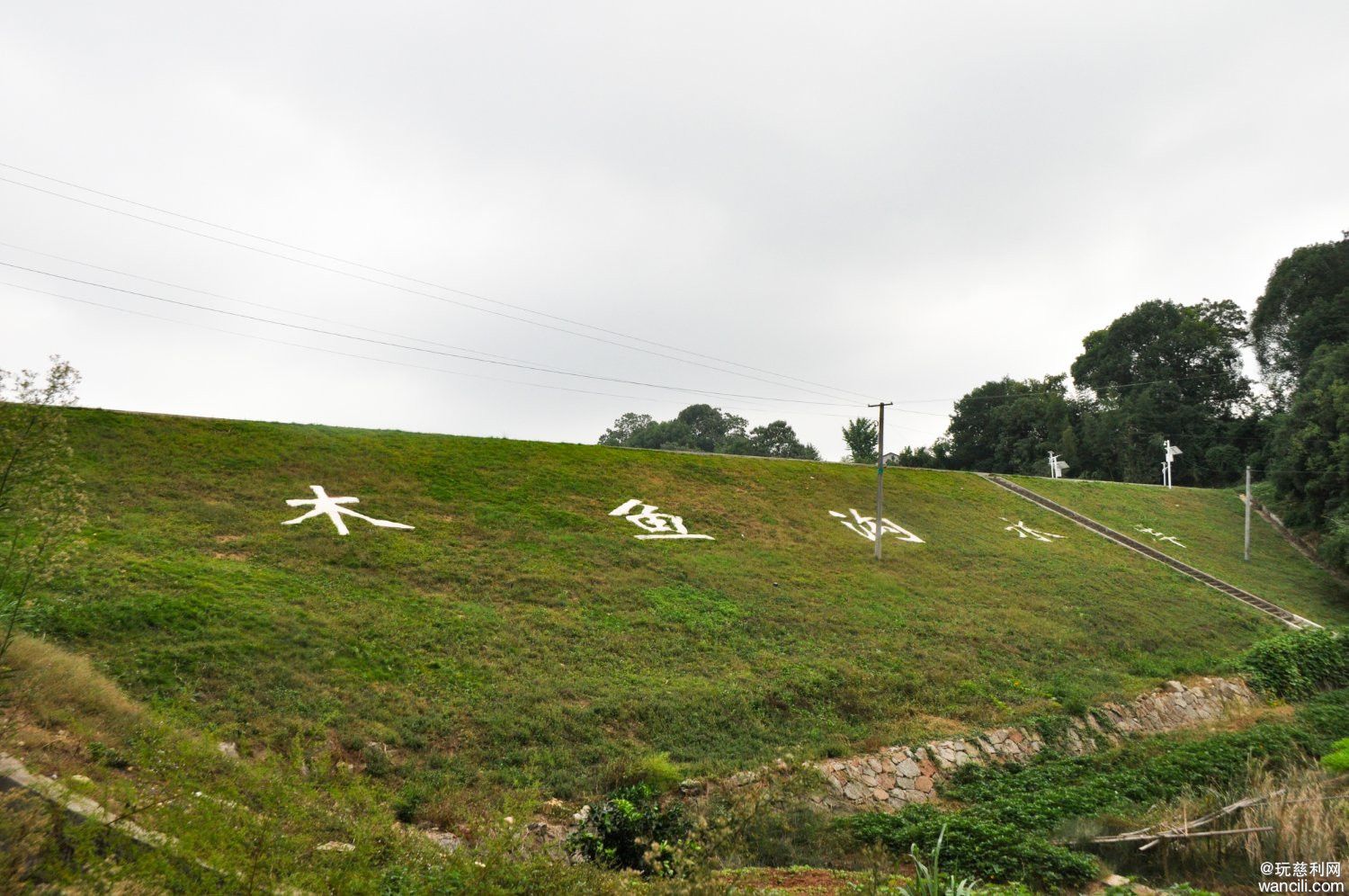 DSC_0019.JPG