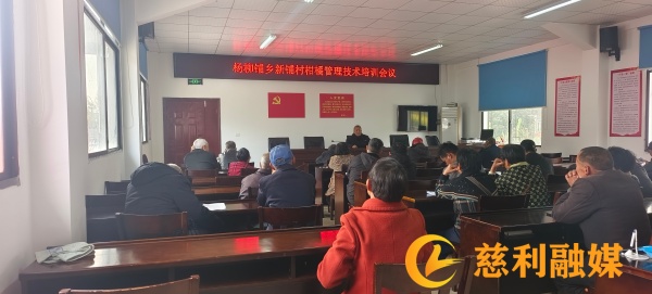 杨柳铺乡新铺村：30余名柑橘种植户齐聚田间，共学种植“真经”